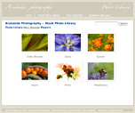 Arykanda Arts Stock Photo Library