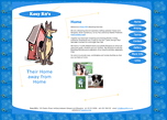 Kosy K9s Boarding Kennels