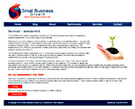 Small Business Growth